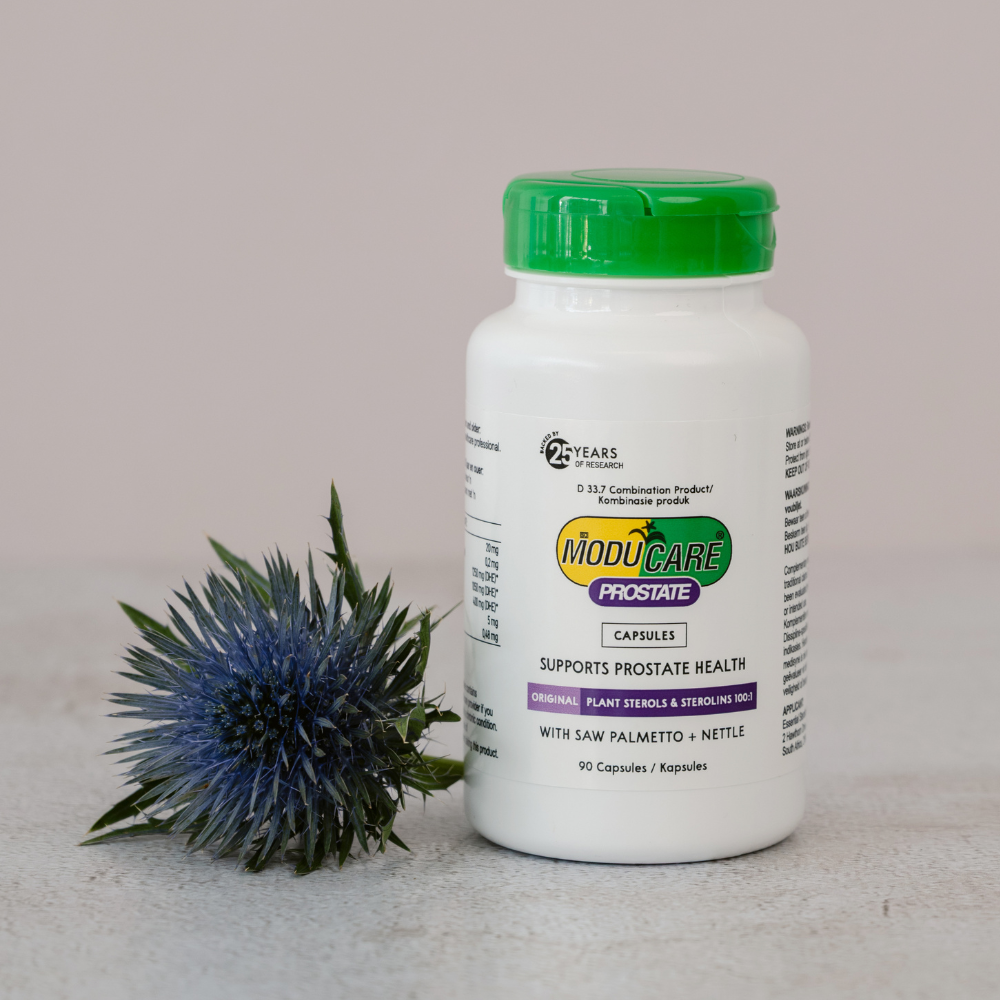 White supplement bottle with green cap labeled 'Moducare Prostate' on a light gray background with a thistle plant.