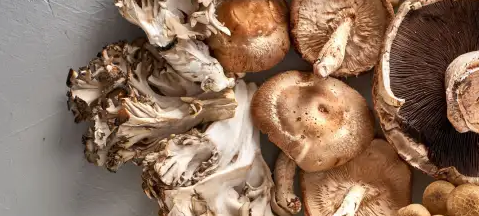 Mushrooms Have Earned Superfood Status - Here's Why