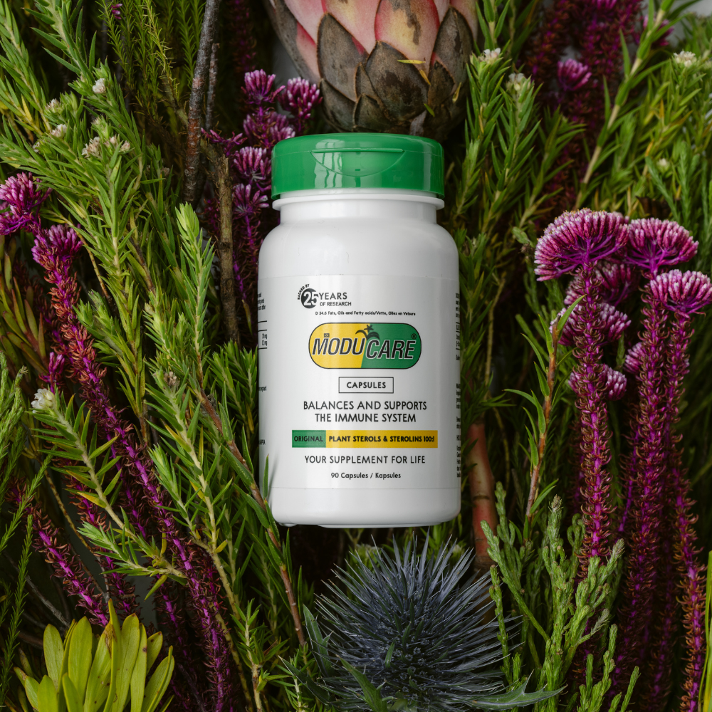 Nooxapellie NoddCare supplement bottle surrounded by green and purple plants