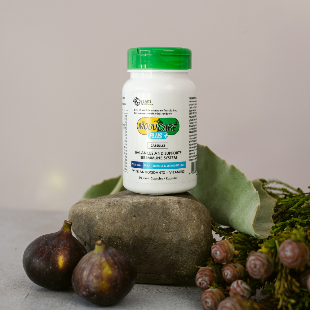 Supplement bottle labeled 'Moducare Plus' on a stone surface with figs and herbs.