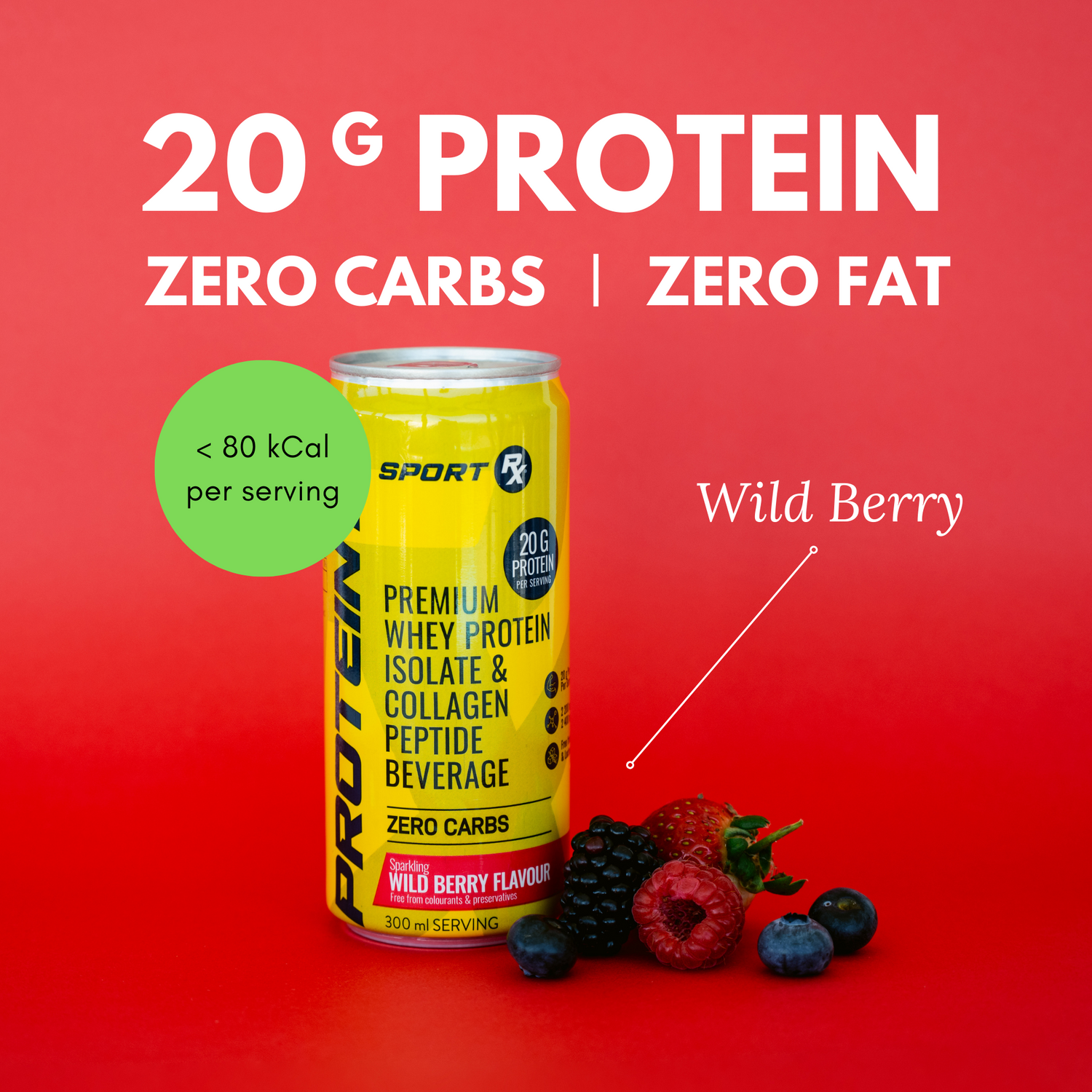 SPORT Rx | Protein Ready-to-Drink 6-Pack | Wild Berry