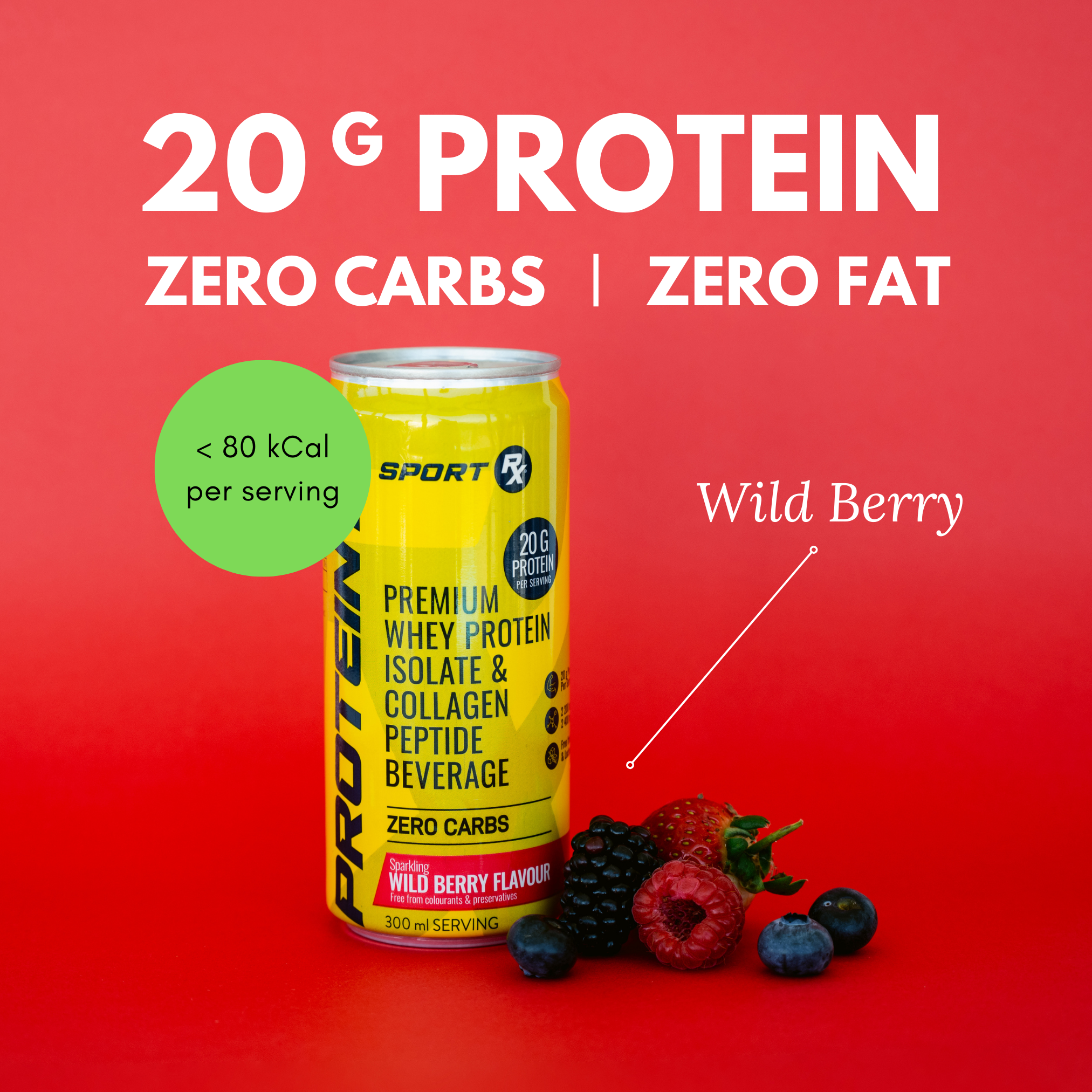 Protein Ready-to-Drink 6-Pack | Wild Berry
